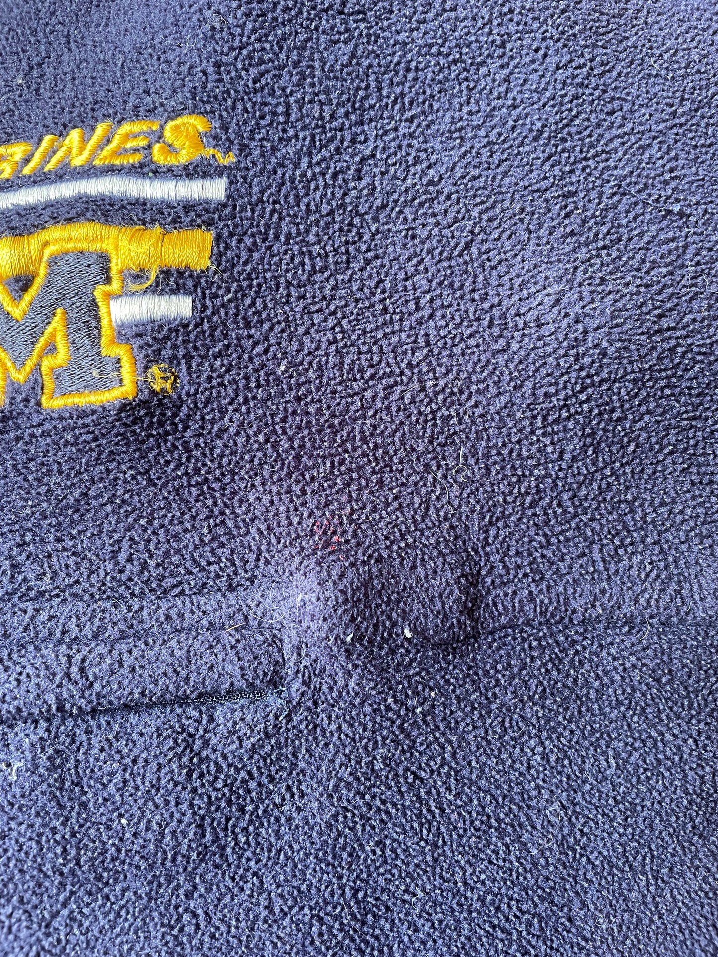 Embroidered Fleece Hoodie