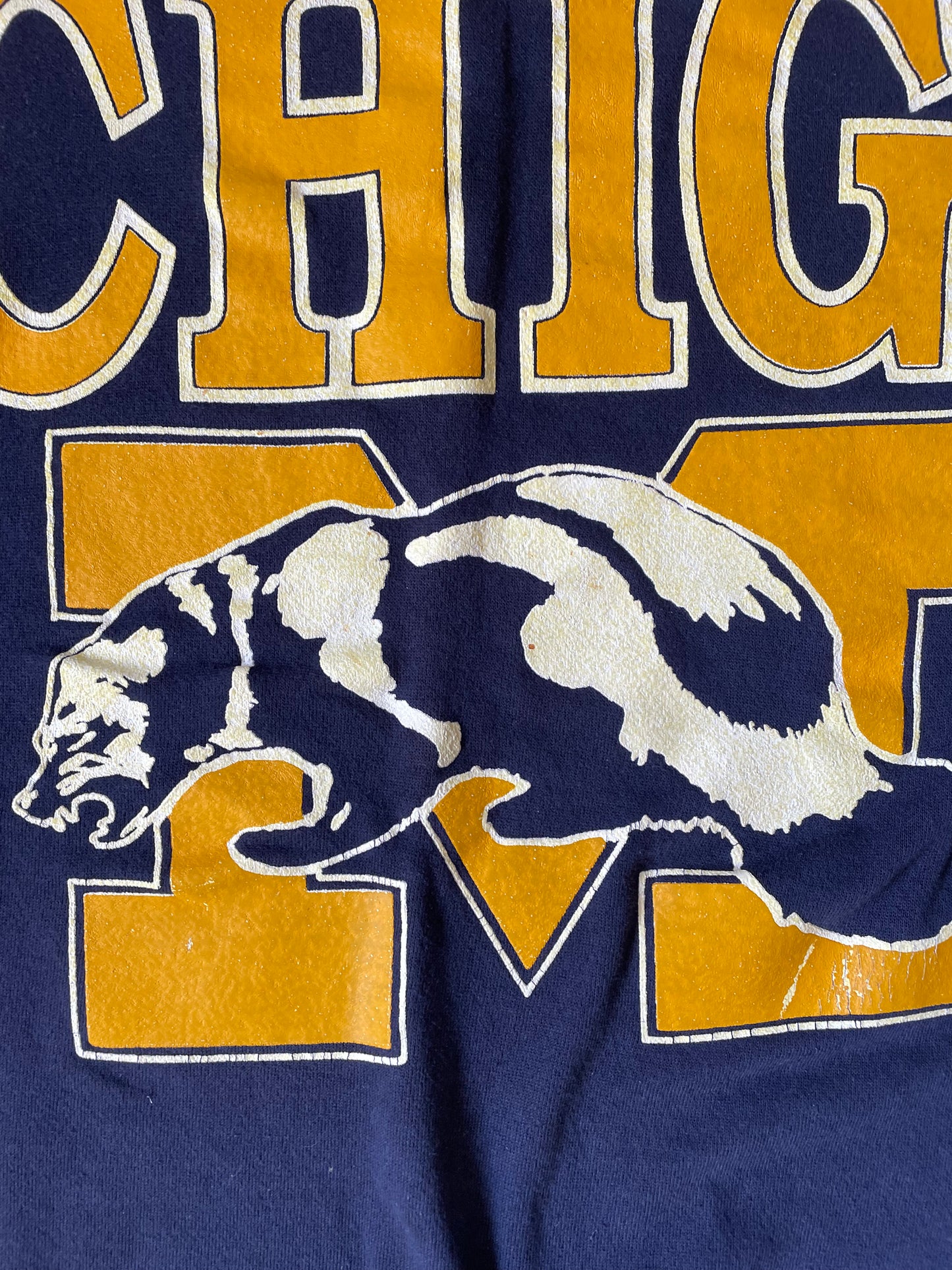 Vintage Spell Out Crewneck