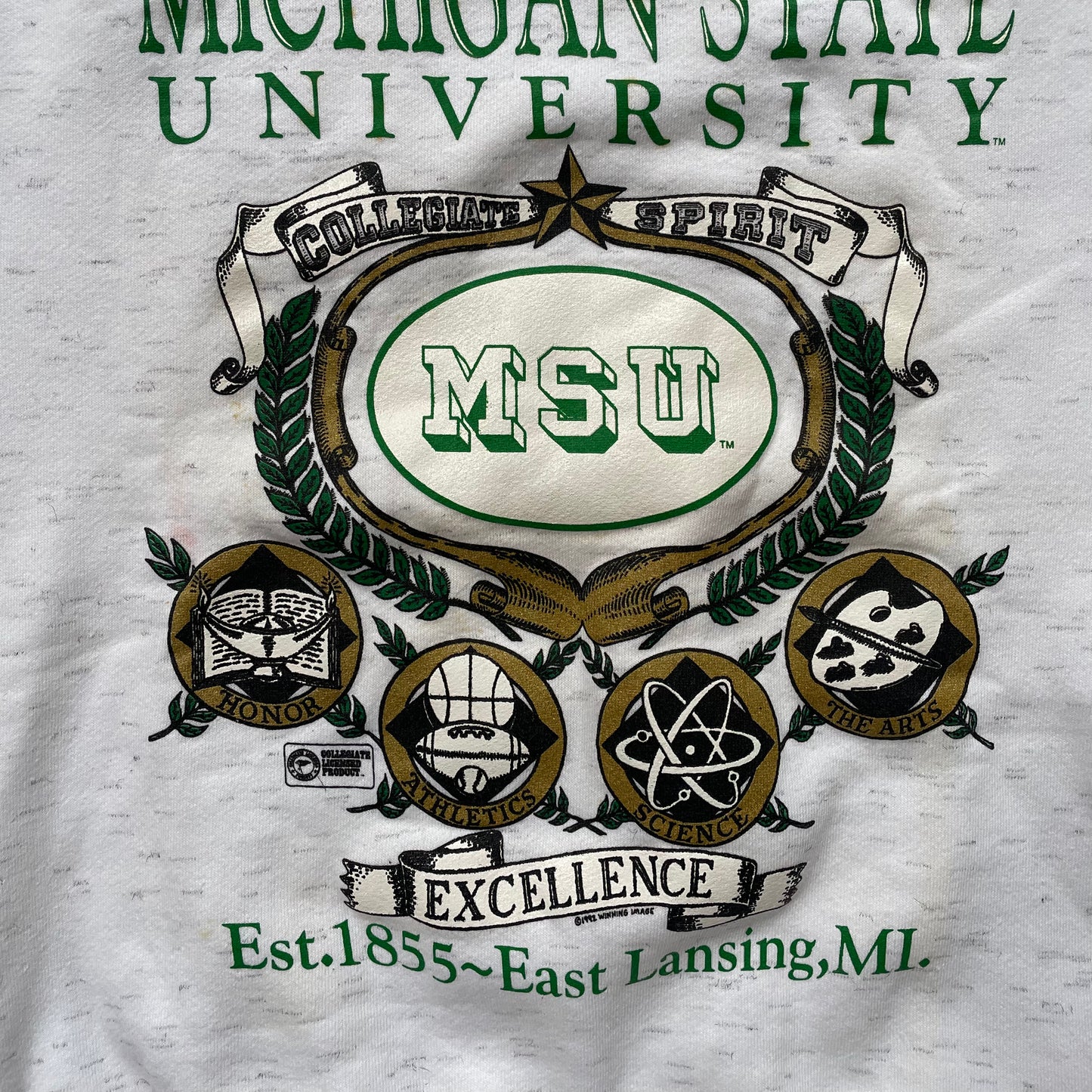 STAINED Vintage Collegiate Spirit Crew