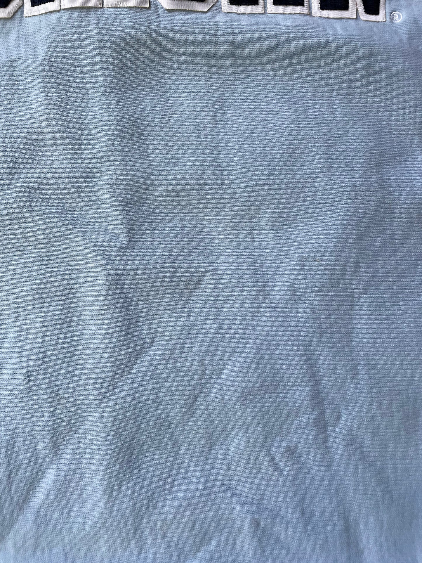 Baby Blue Reverse Weave Crewneck