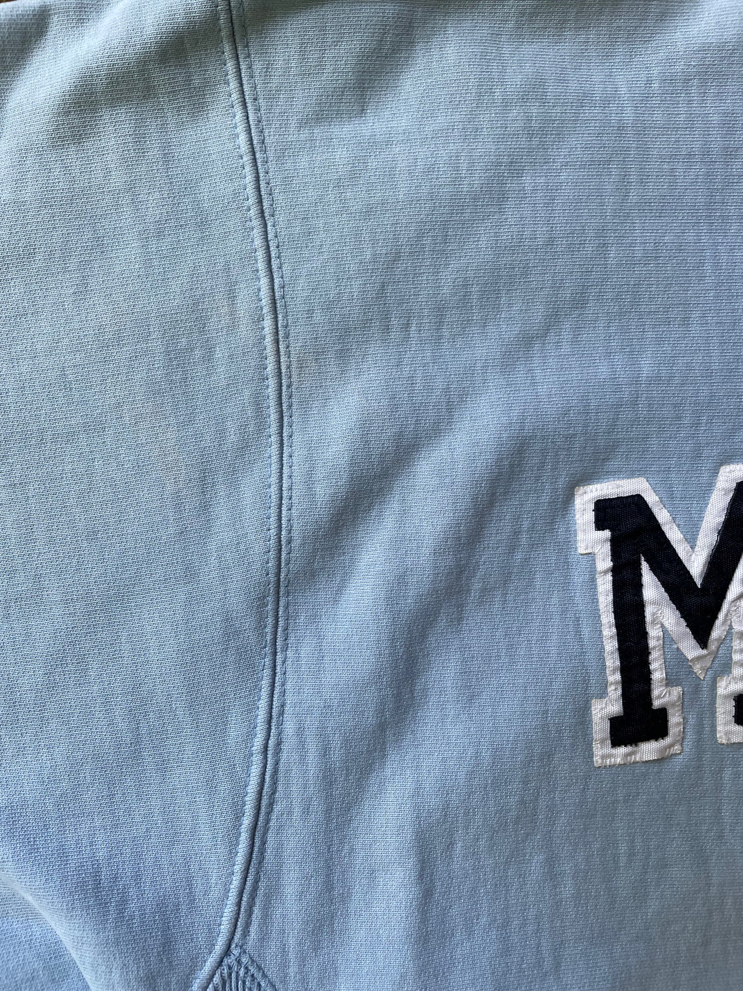 Baby Blue Reverse Weave Crewneck