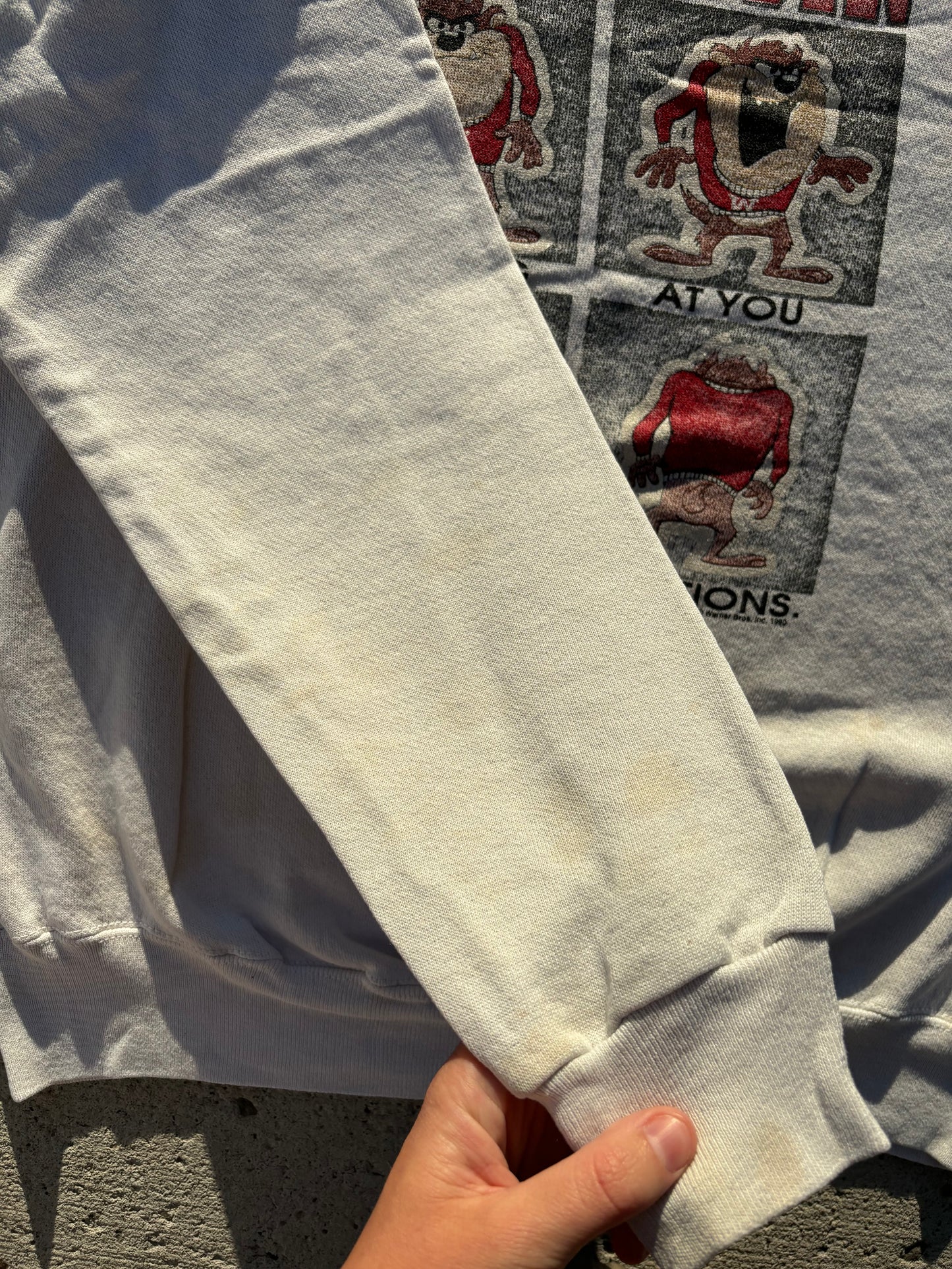 1990 Looney Tunes Crew