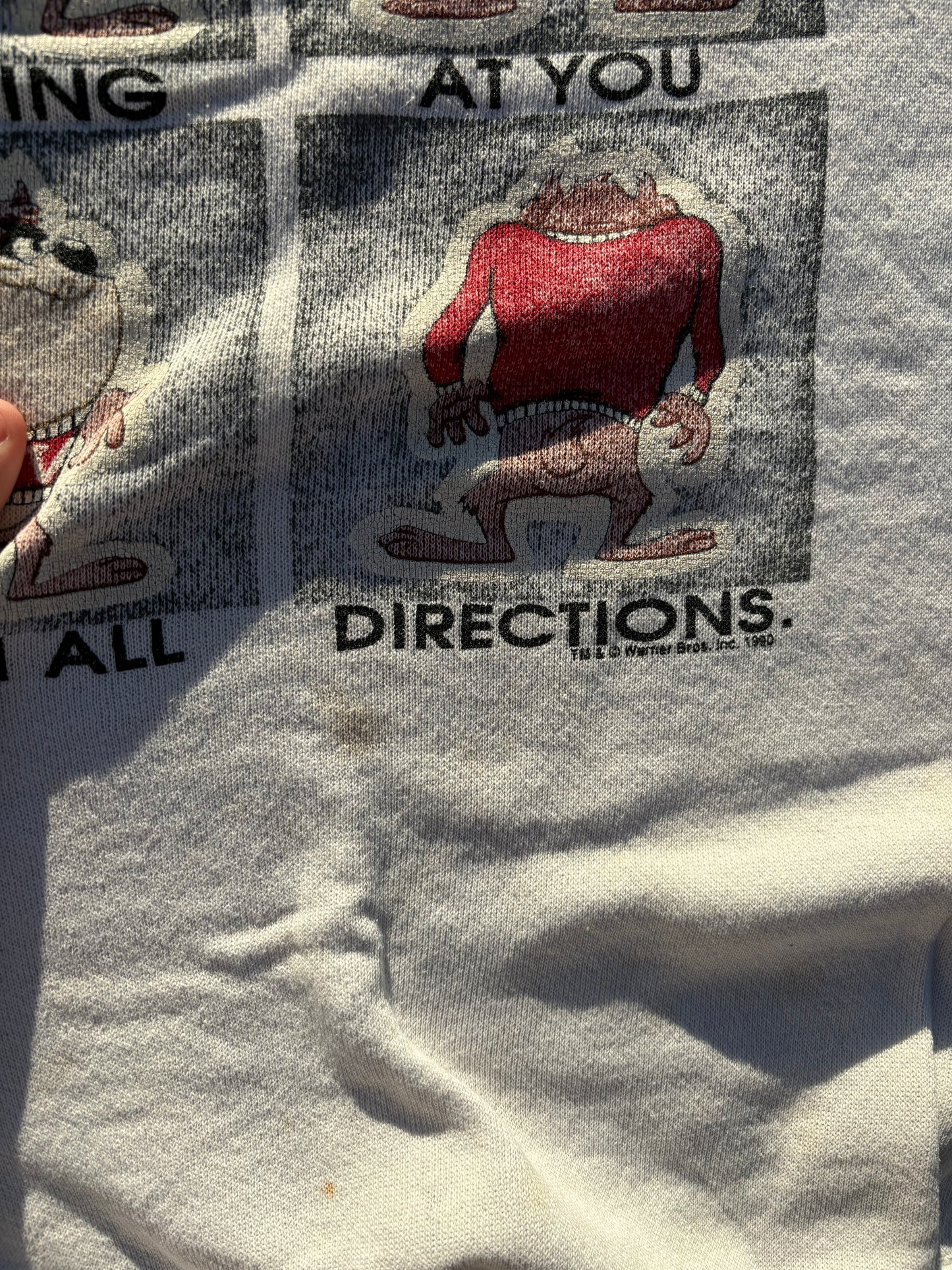 1990 Looney Tunes Crew