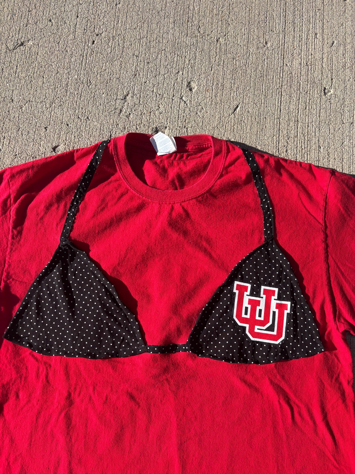 Utah Kini