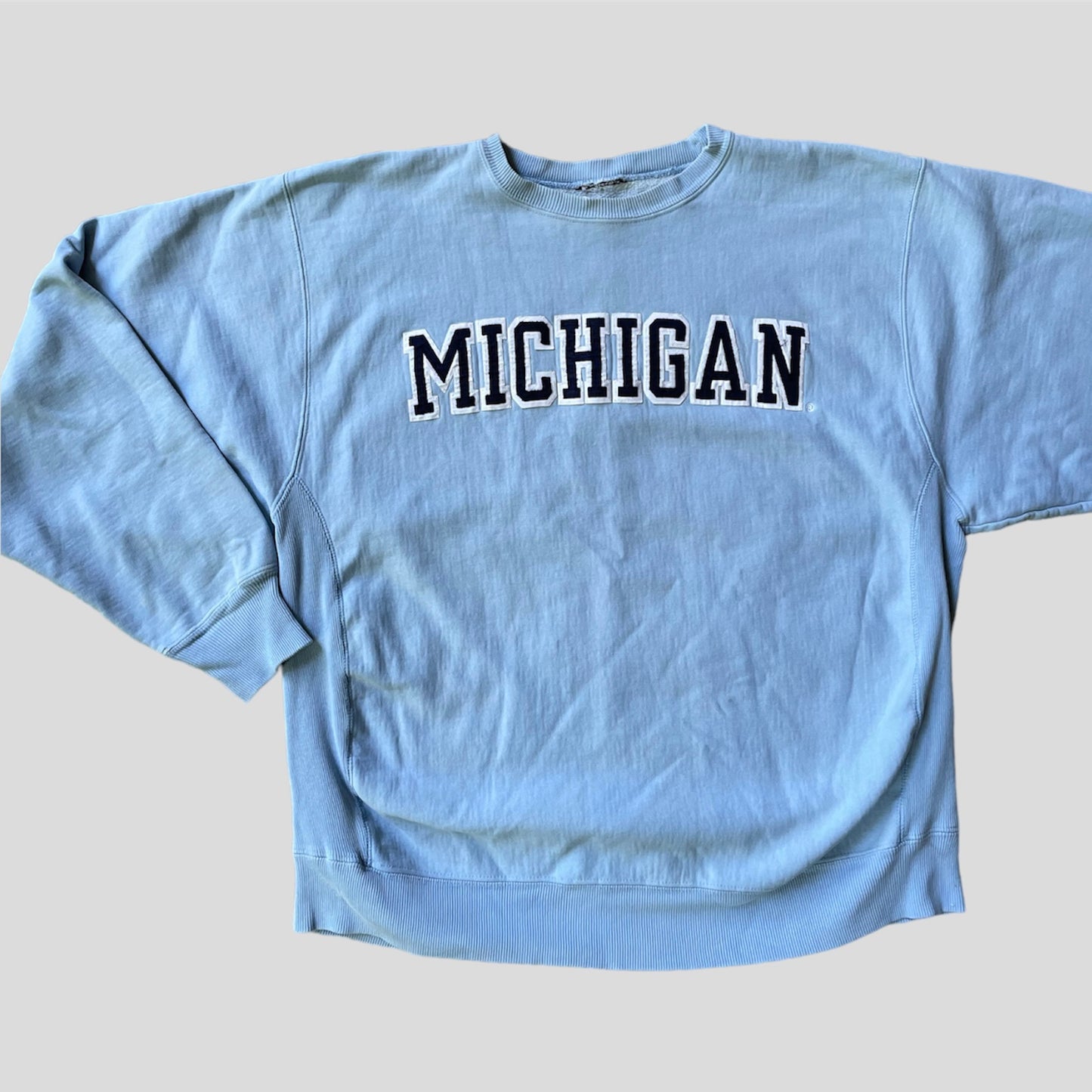 Baby Blue Reverse Weave Crewneck