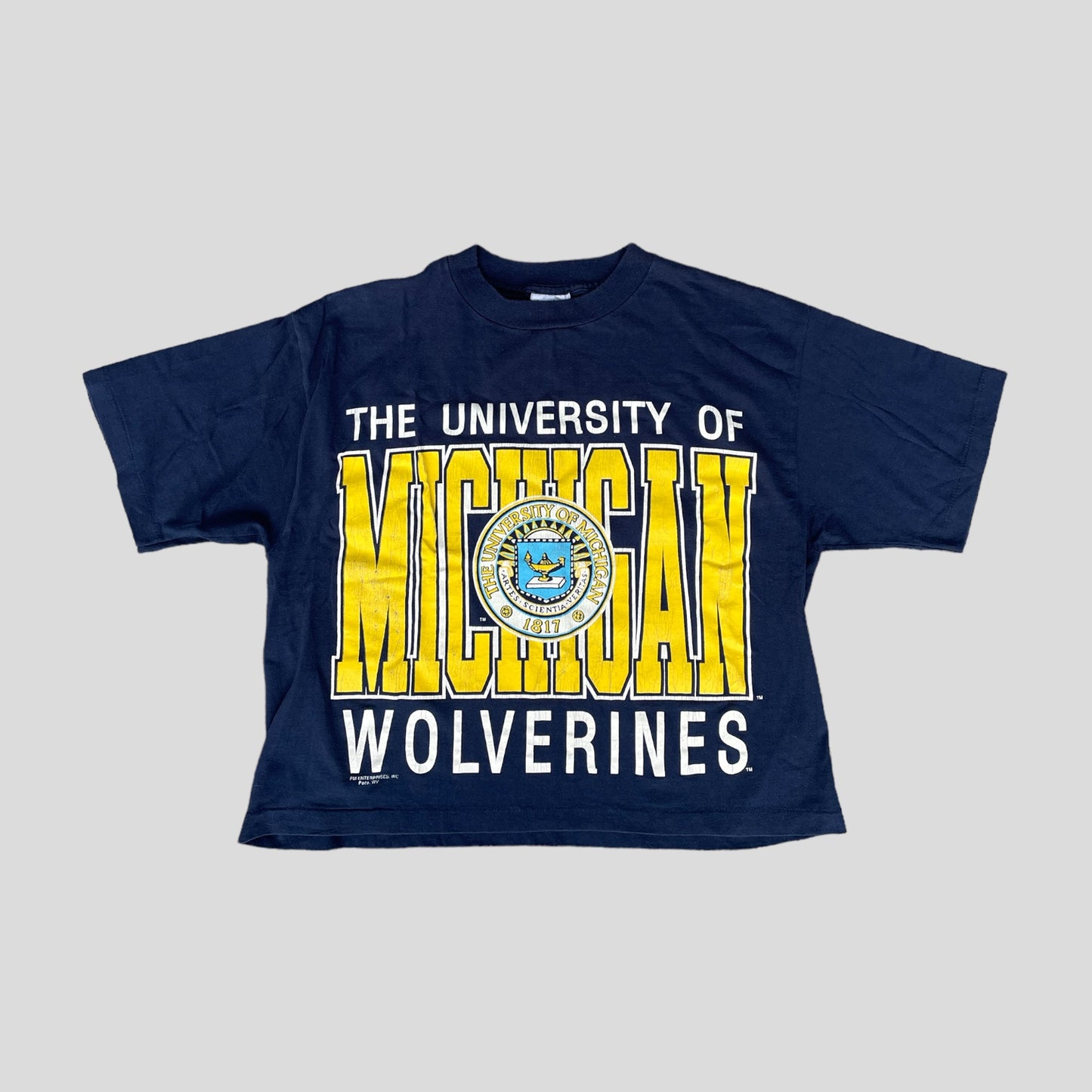 Hemmed Vintage Crop Top