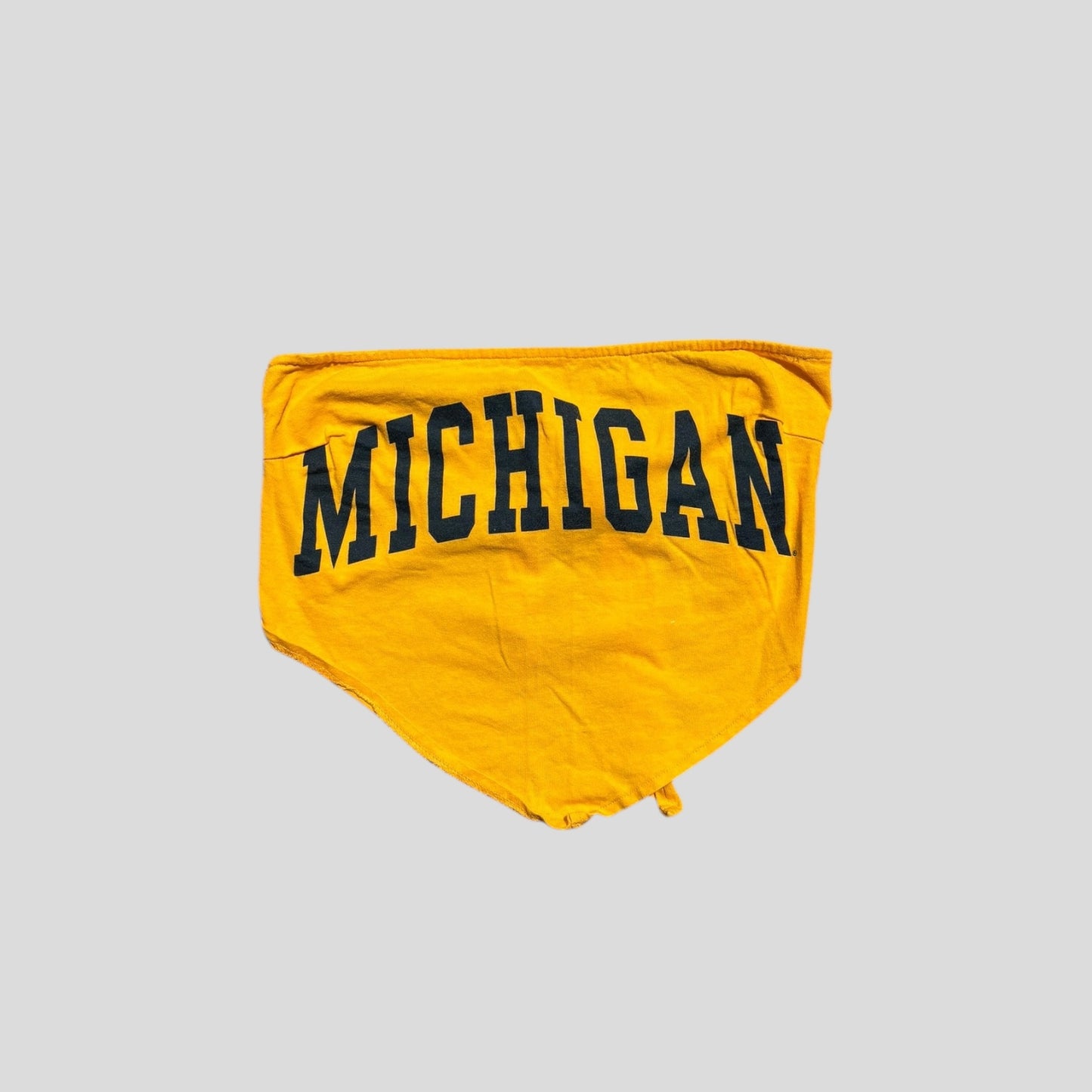 Michigan Tie Top