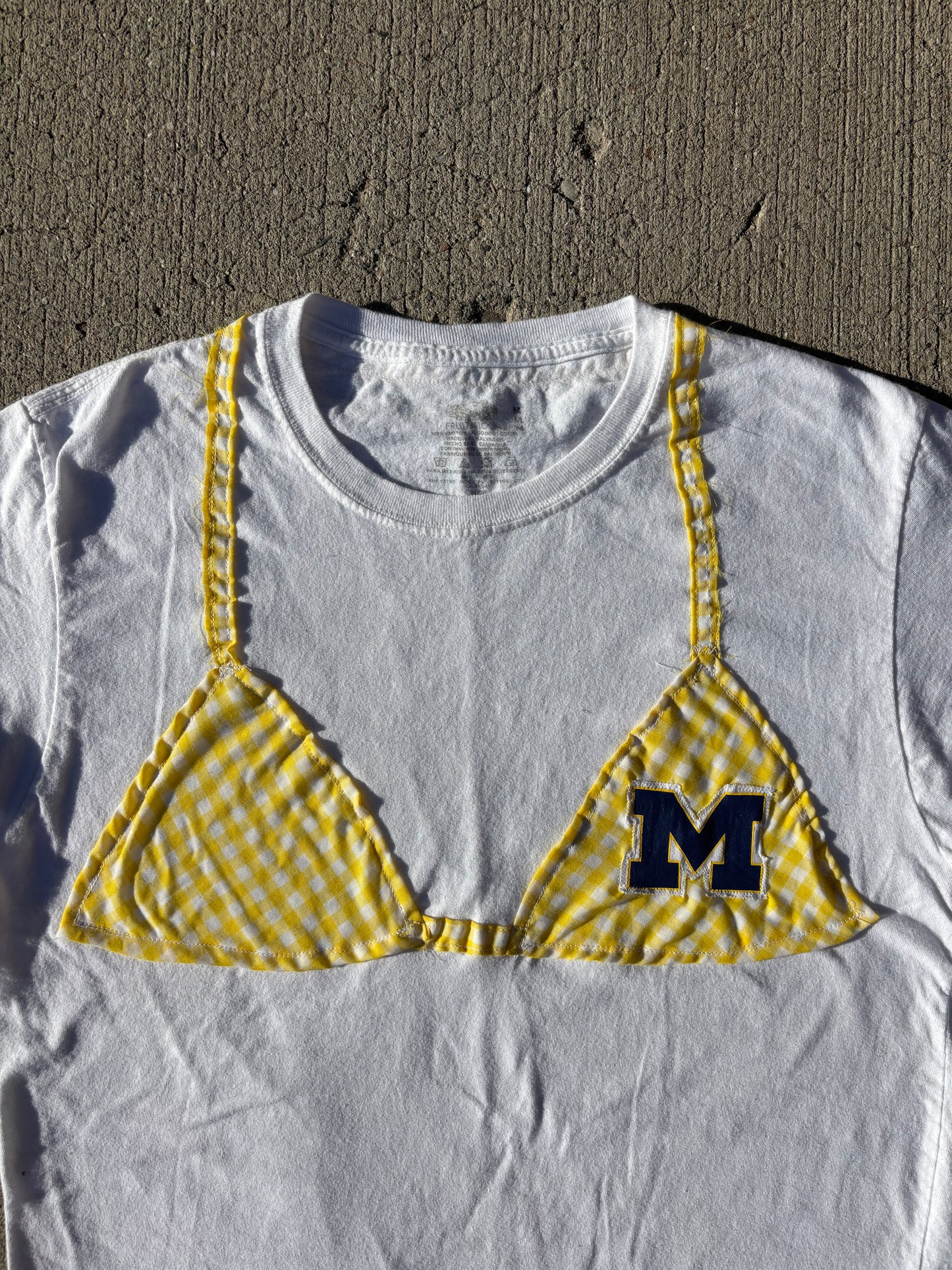 Michigan Kini