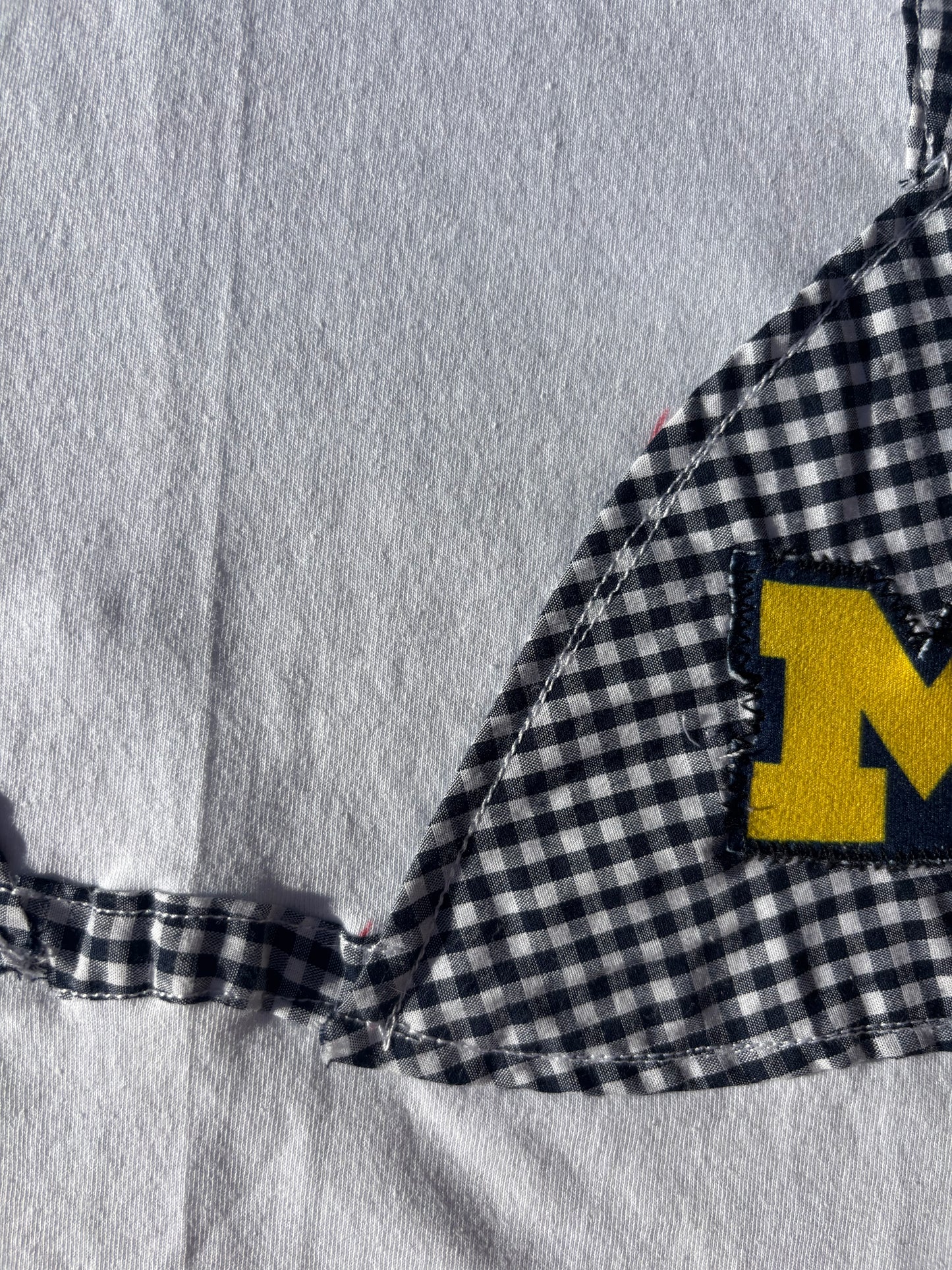 Michigan Kini