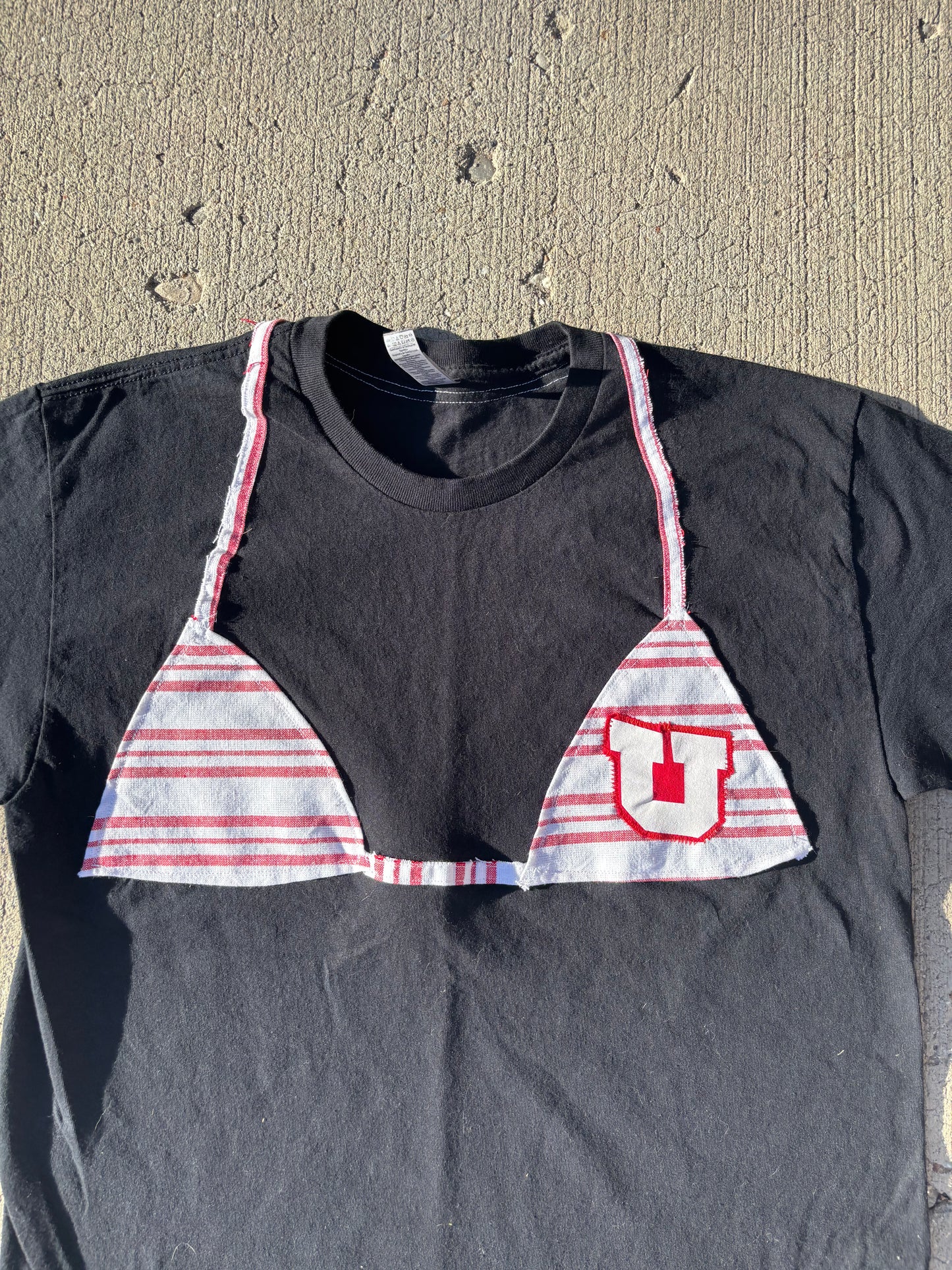Utah Kini
