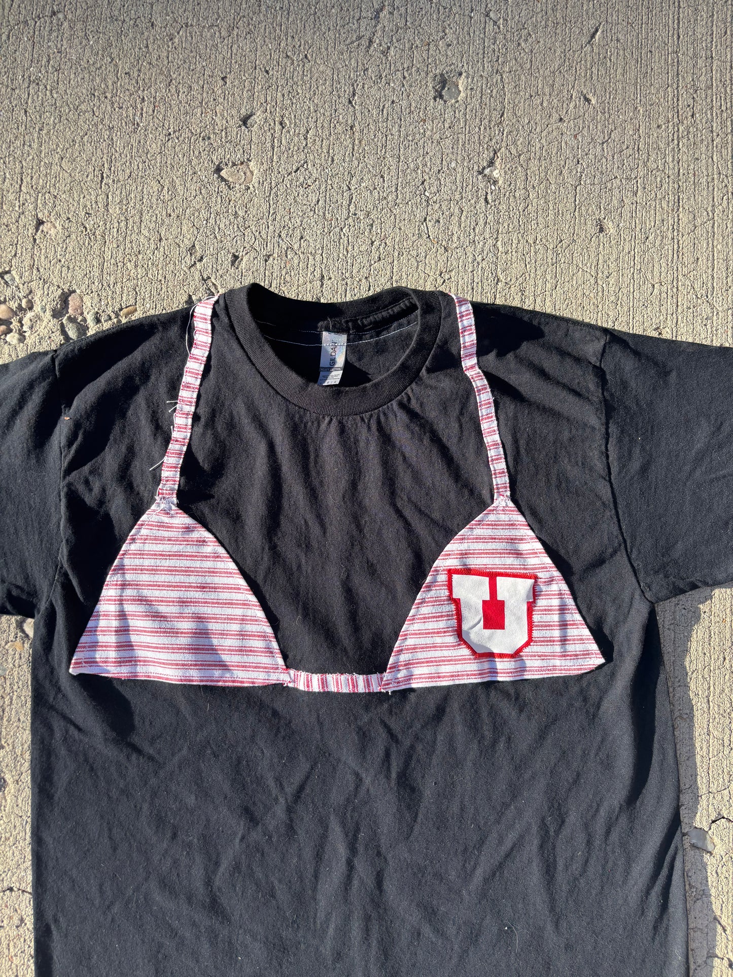 Utah Kini
