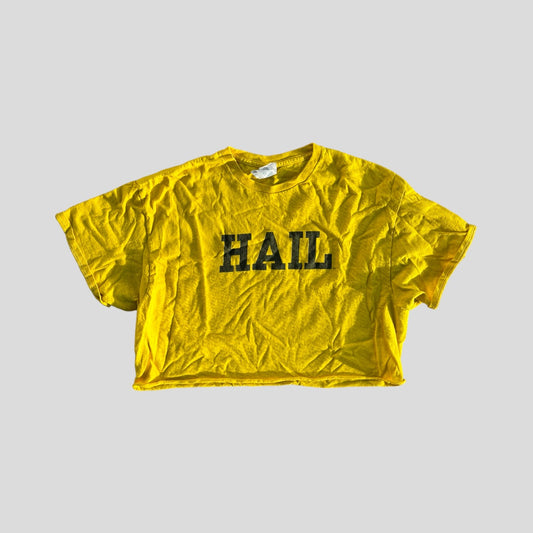 HAIL Cropped T