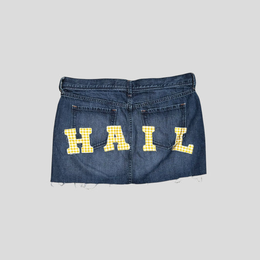 HAIL Low Rise Mini skirt