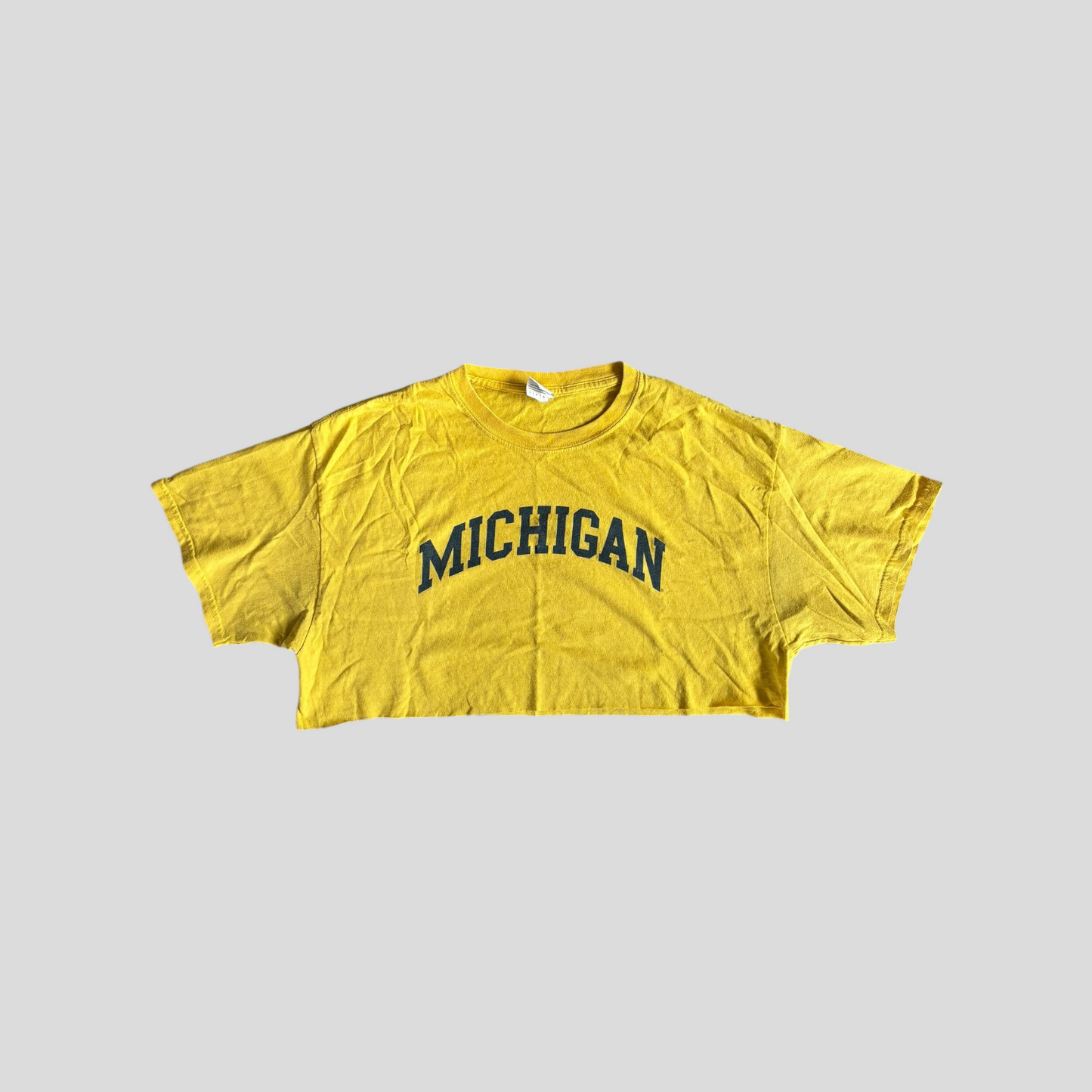 Cropped Classic T